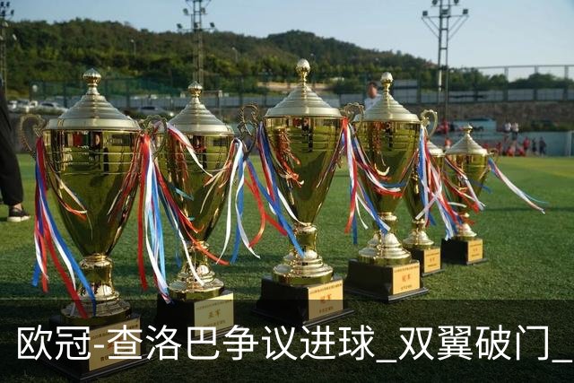 欧冠-查洛巴争议进球 双翼破门 切尔西4-0胜尤文
